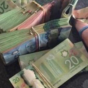 Meet your Posher, Riley